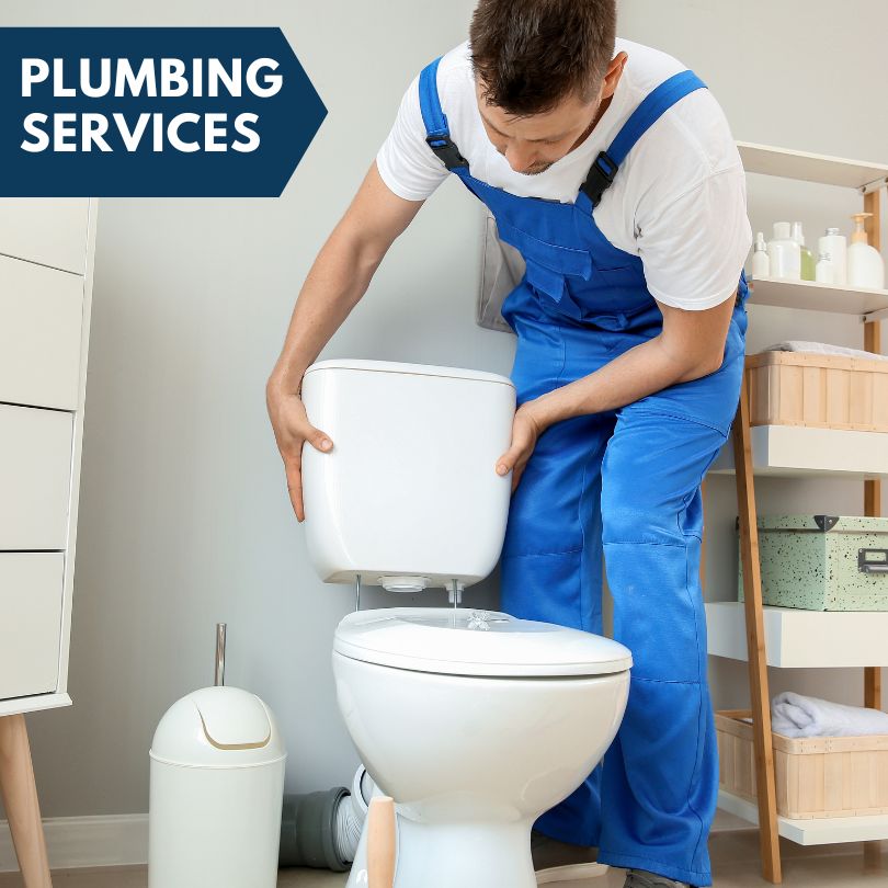 Plumbing Company in Rockland, MI